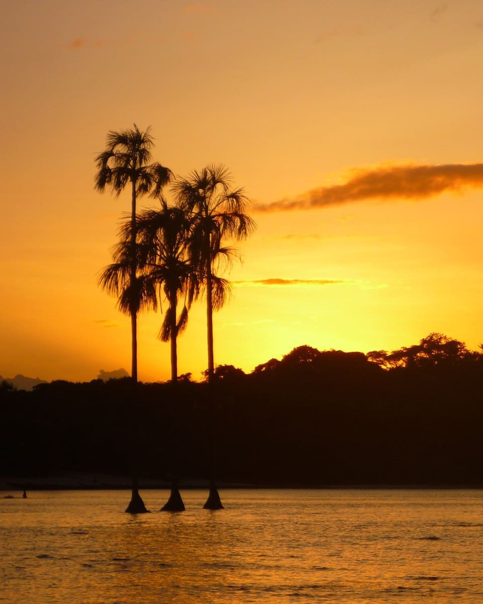 Canaima