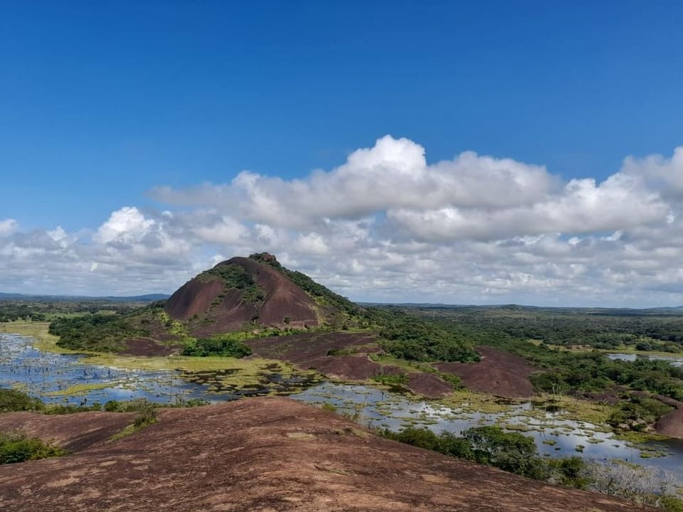 Vista desde la cima de la Piedra del Elefante